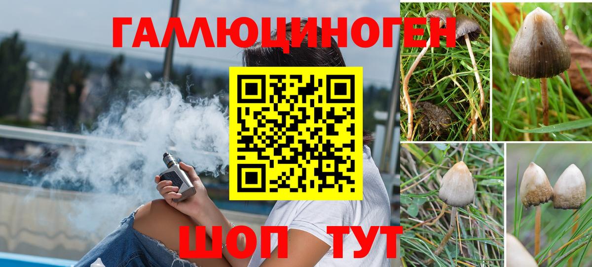 Галлюциногенные грибы ЛСД  Вход с VPN  Россия 